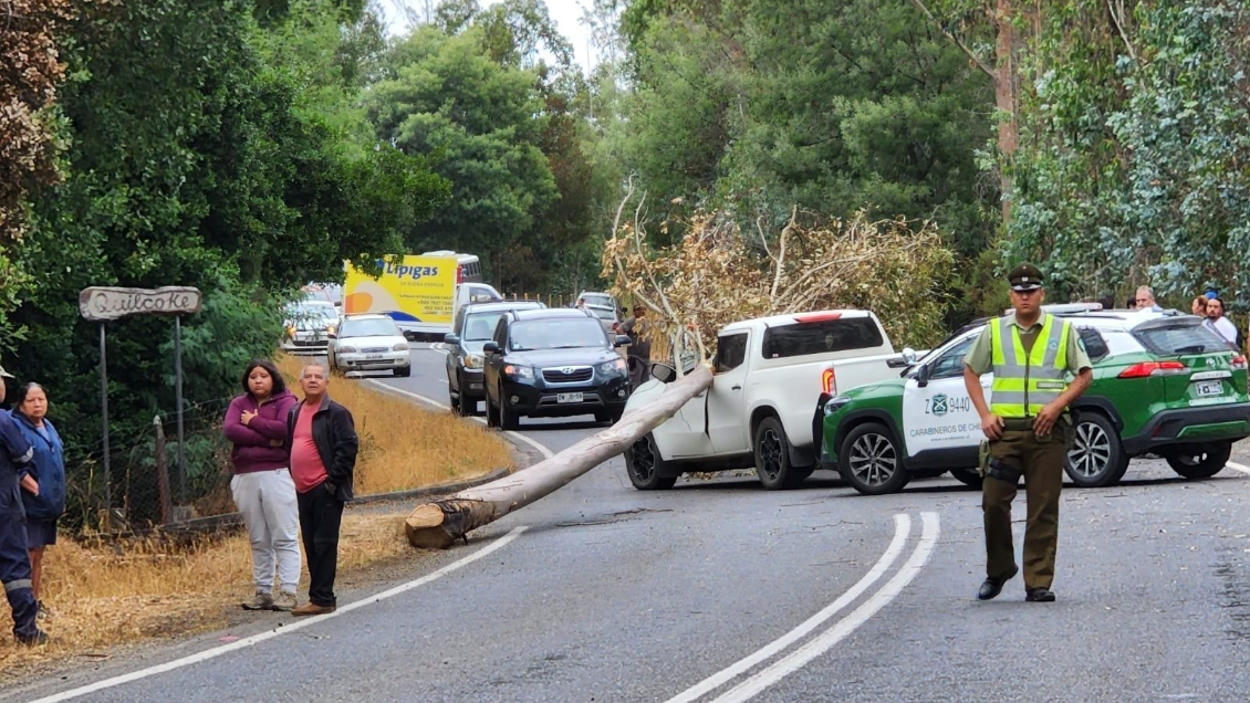 Segundo caso: Exdirector de Conaf falleció tras caer un árbol encima de su vehículo