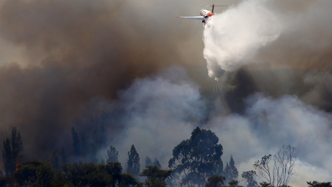 Incendios: Fedefruta afirma que productores pueden tardar 10 años en recuperarse