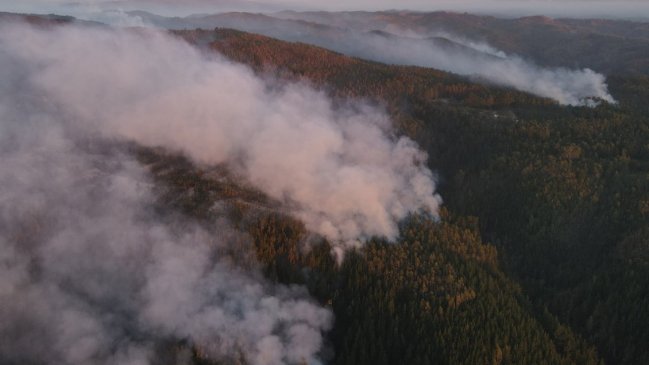 Autoridades bajaron alerta amarilla regional por incendios en el Maule