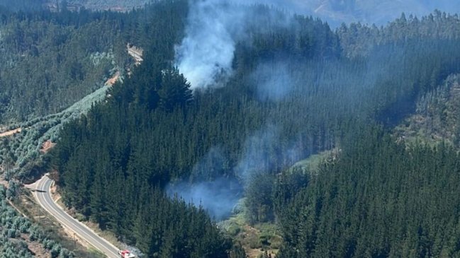 Corma acusa que intencionalidad de incendios llega al 90% en algunas comunas
