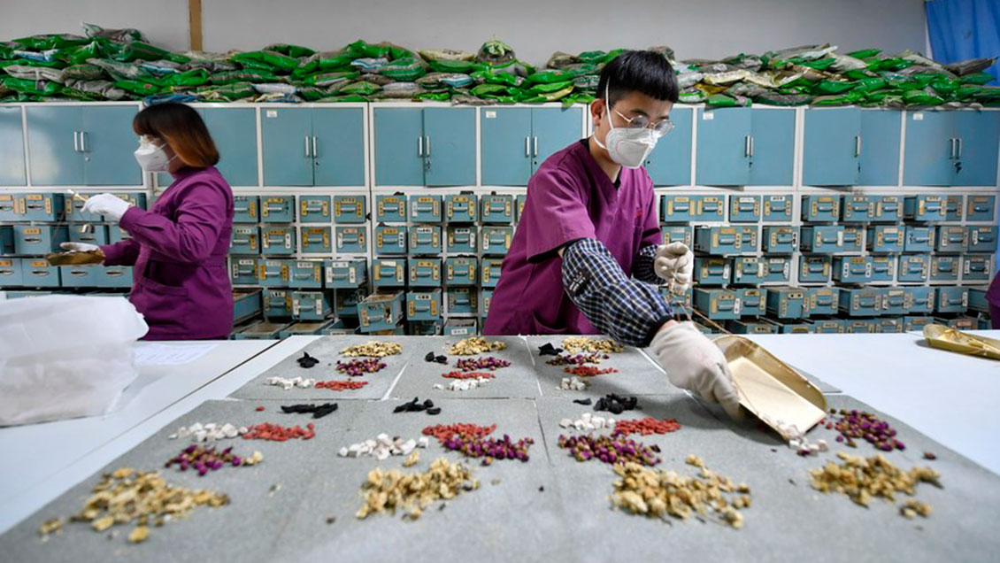 Identifican 163 nuevas especies herbáceas en censo de medicina tradicional china