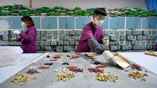 Identifican 163 nuevas especies herbáceas en censo de medicina tradicional china