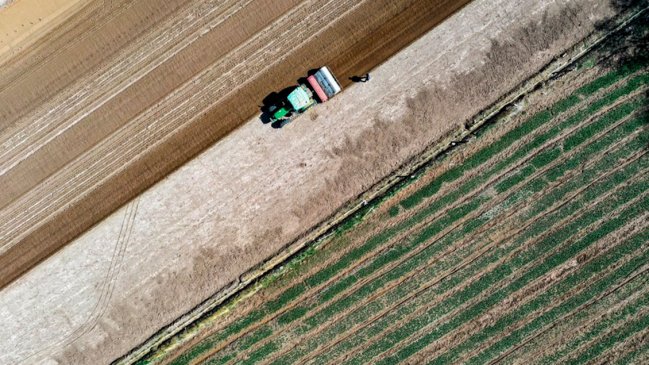 Científicos chinos proponen una forma de lograr una producción de cultivos neutra en carbono