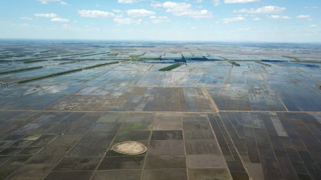 Científicos desarrollan mecanismo de siembra inspirado en taladro para promover forestación