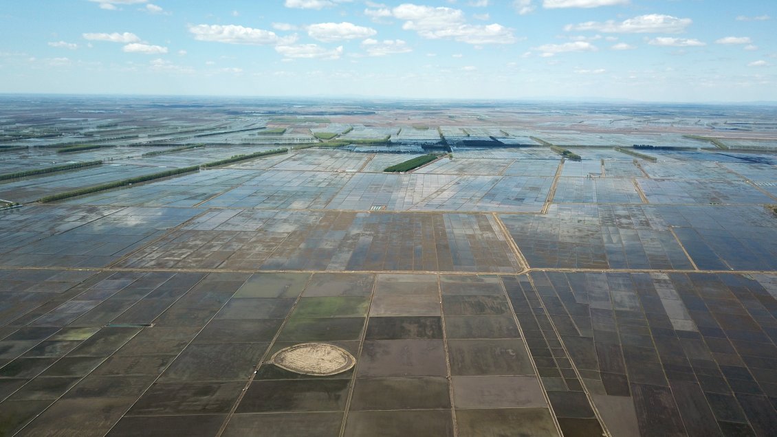 Científicos desarrollan mecanismo de siembra inspirado en taladro para promover forestación