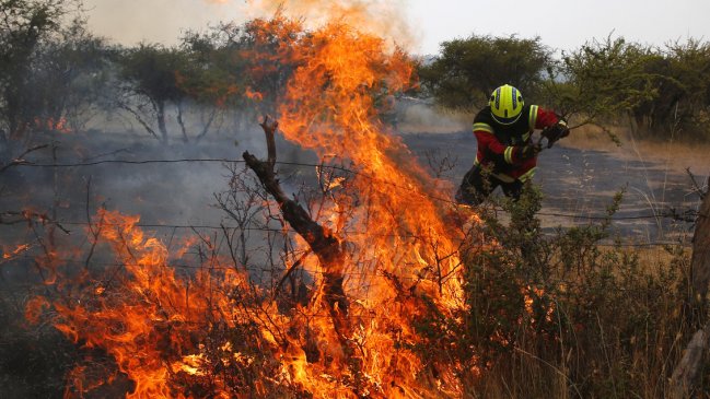 Diputado UDI y concejales presentan querella por 