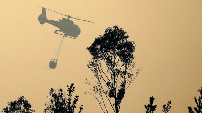 Dos incendios forestales afectan a San Pedro en la Región Metropolitana