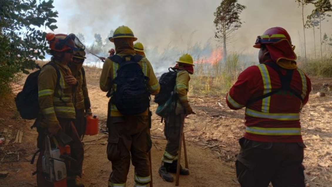 El mortífero incendio forestal Santa Ana está 