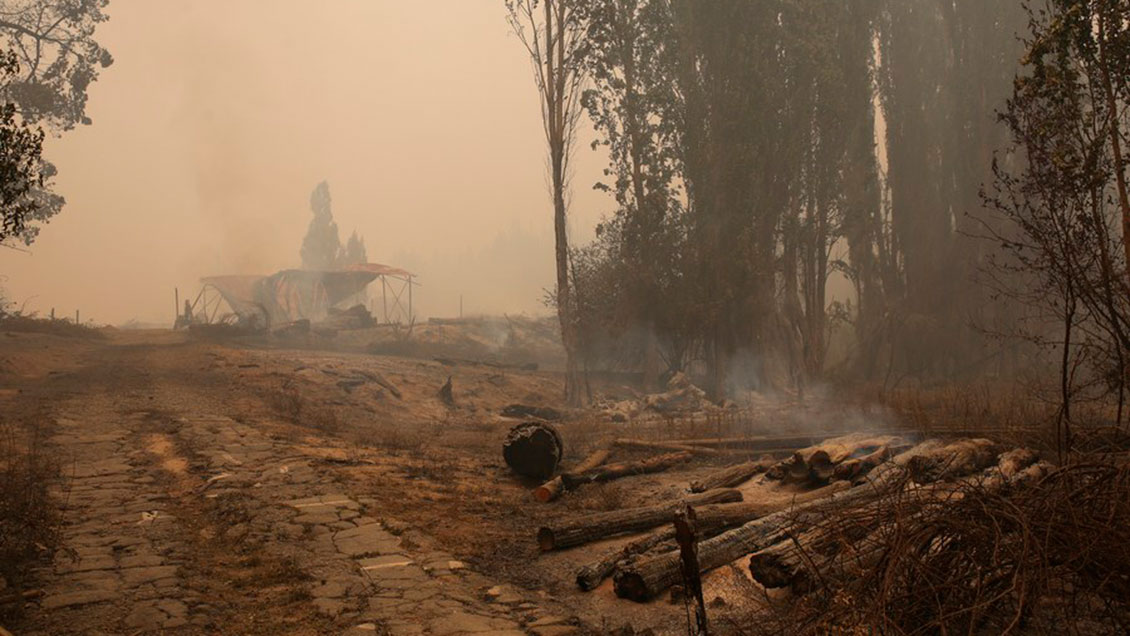 Comunidad china en Chile donó más de 20 toneladas en ayuda para damnificados por los incendios