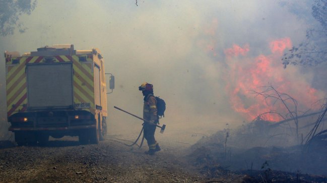 Alcaldesa de Santa Juana: Me dolió muchísimo cuando el Gobierno descartó un royalty para las forestales