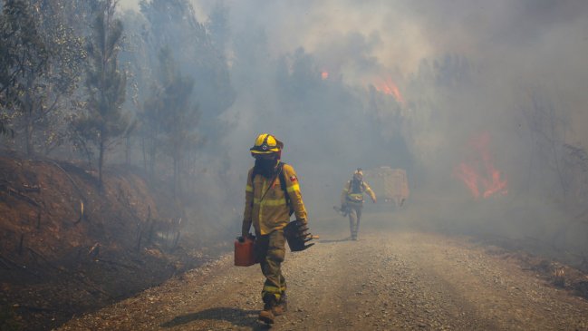 Confirman nueva muerte por incendios: Un ciudadano belga que estaba en Santa Juana