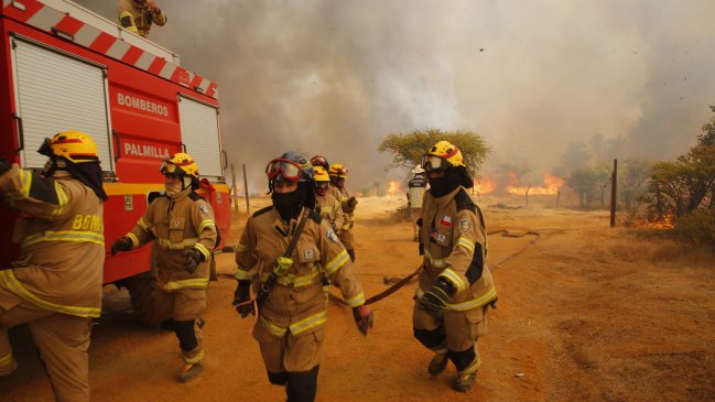Incendio forestal en Alto Biobío continúa en combate: Afecta a bosque milenario