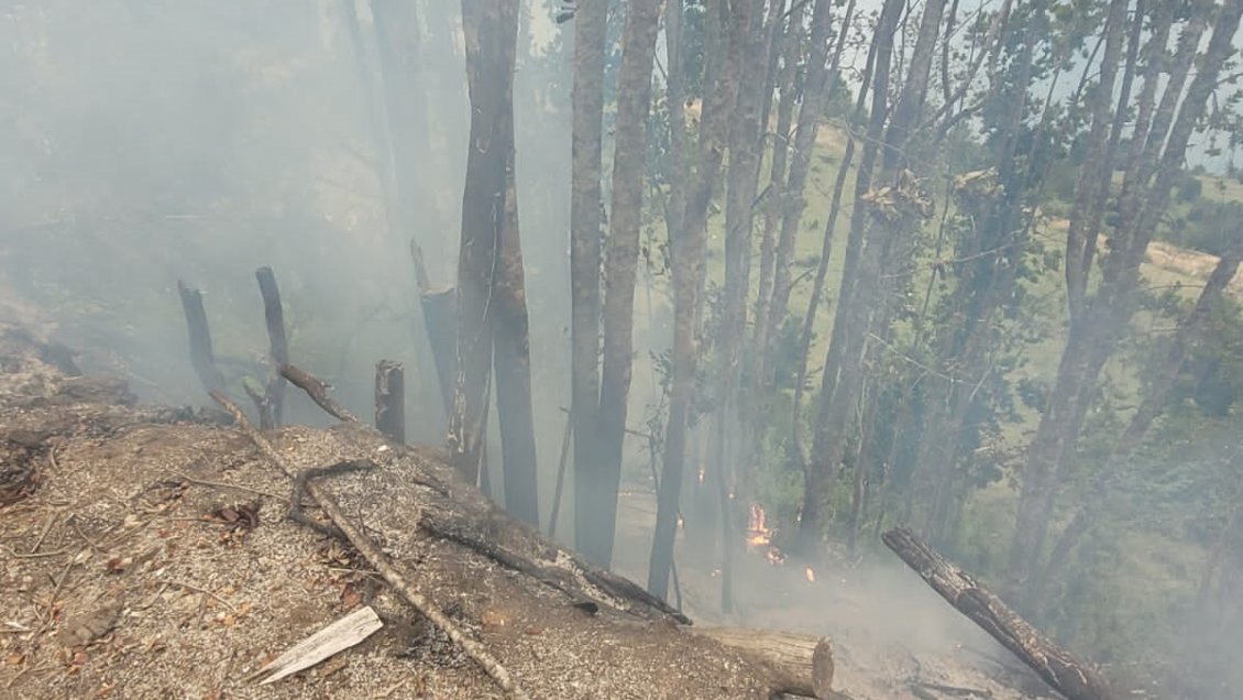 Carabineros detuvo a acusado de generar quema no autorizada en Cochamó
