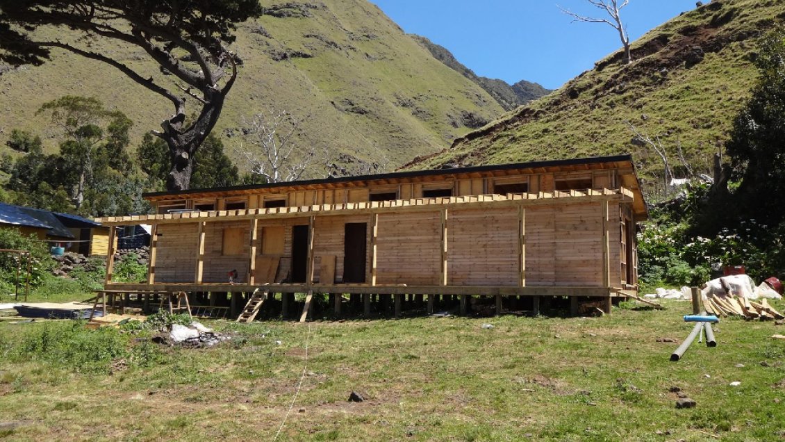 Juan Fernández reemplazará su 