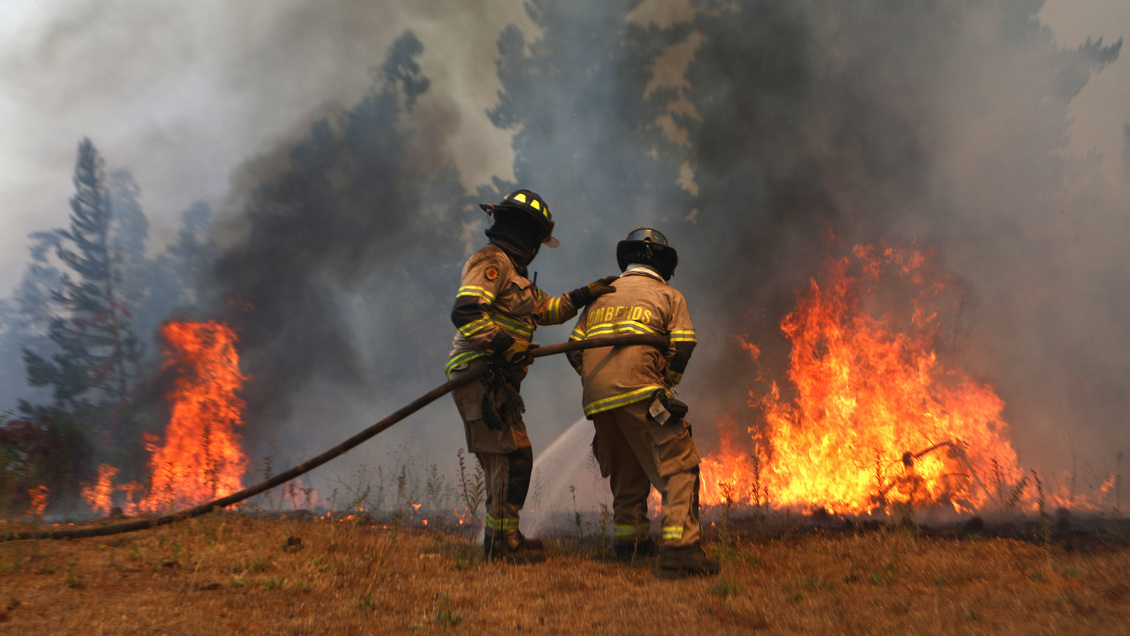 Incendios: Corma pide renovar estado de catástrofe en Ñuble, Biobío y Araucanía