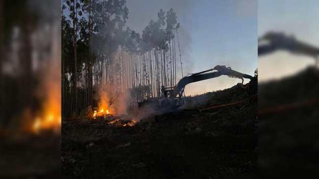 Doble ataque incendiario dejó cuatro máquinas quemadas en Los Lagos