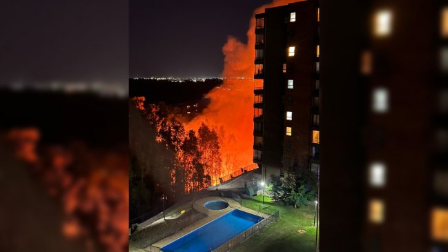 San Pedro de la Paz: Piden evacuar sector de la Península de Andalué por incendio forestal