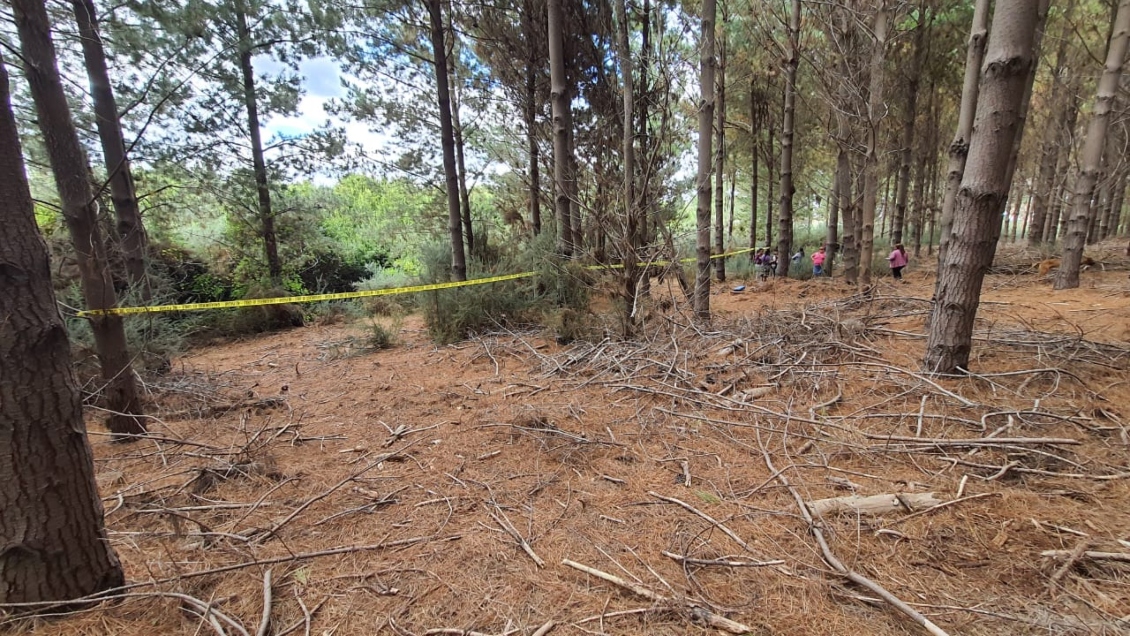 Dos cadáveres fueron encontrados en Los Álamos: uno de los cuerpos estaba semienterrado