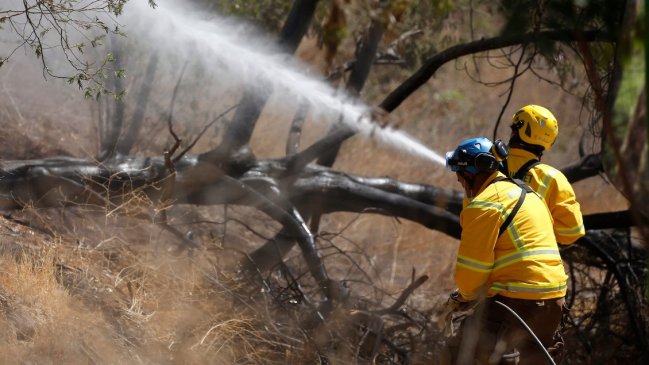   Luego de un mes, cancelan la Alerta Roja para la Región del Biobío por incendios forestales 