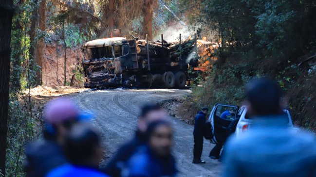 Robo de madera: Megaoperativo deja 12 detenidos en Contulmo