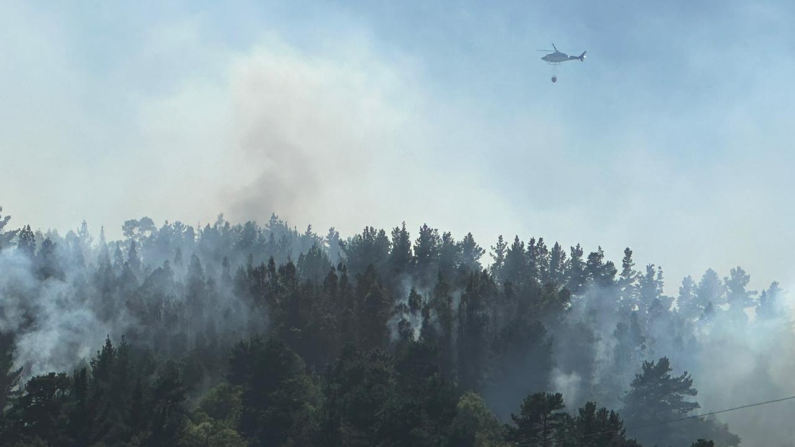 Cómo pagar el Permiso de Circulación 2023 y ayudar a comunas afectadas por incendios forestales