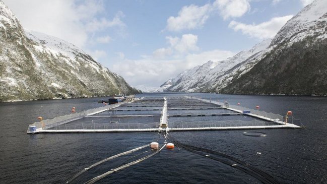  CORE pide medidas de mitigación a la industria del salmón tras fuga en Lago Llanquihue  