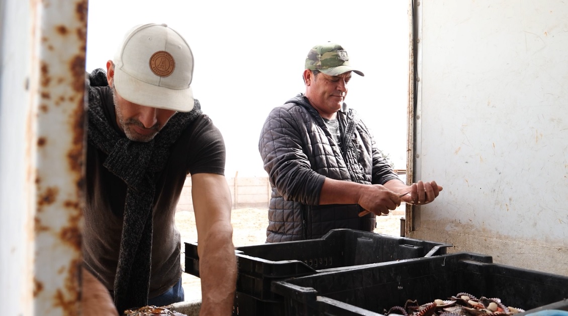 Acuicultura de pequeña escala de Tongoy contará con planta de hidrolavado para ostiones