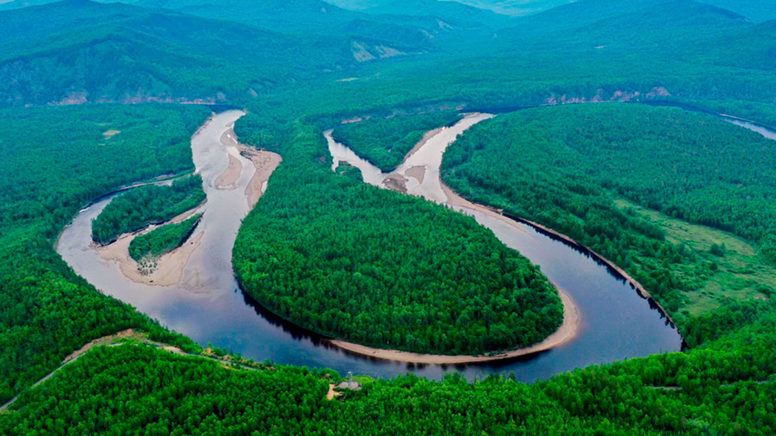 China plantó 3,83 millones de hectáreas de bosques en 2022