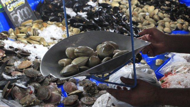  En Los Lagos endurecen fiscalización para evitar consumo de mariscos con marea roja  