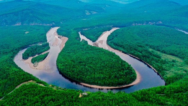 China plantó 3,83 millones de hectáreas de bosques en 2022