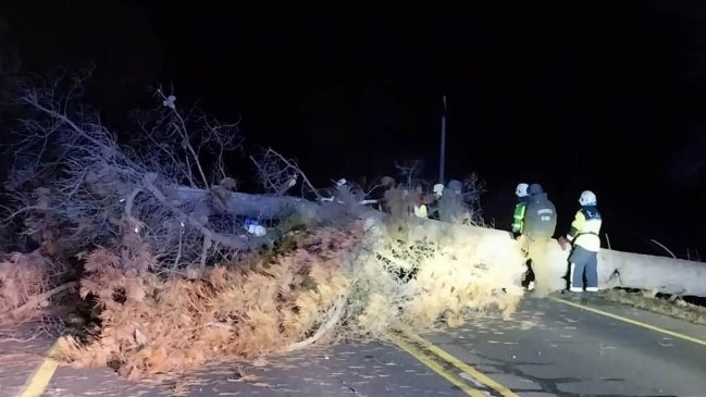 Nuevos ataques incendiarios y cortes de ruta en La Araucanía