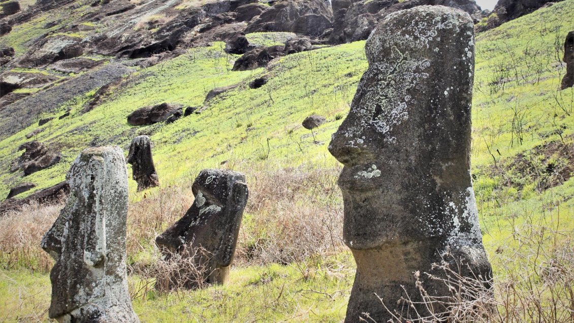 La Unesco inicia acciones de respuesta tras incendios en Rapa Nui