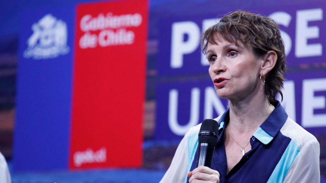 Gobierno presentará plan para reducir estado de excepción en la macrozona sur