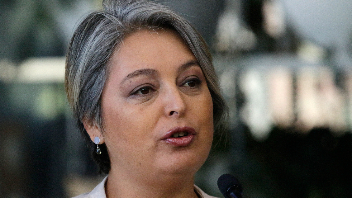 Ministra Jara y votos oficialistas al 