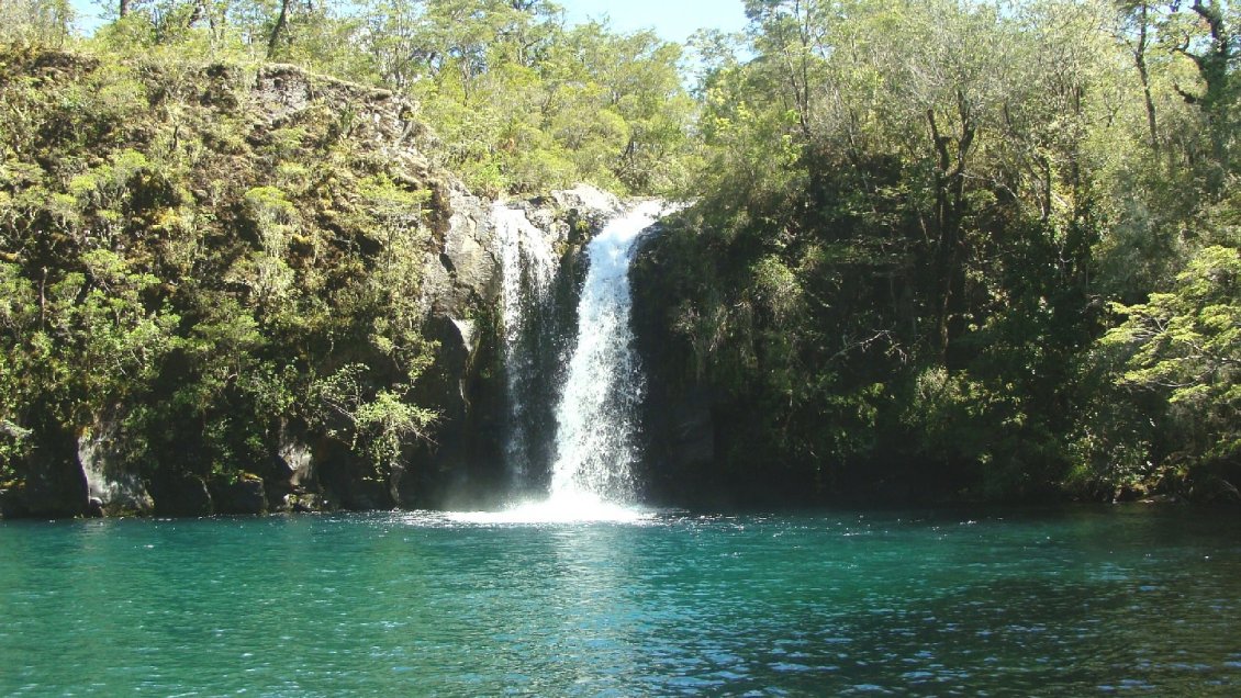 Conaf en el Día Mundial del Agua: Recuperar el bosque nativo es vital para enfrentar la crisis hídrica