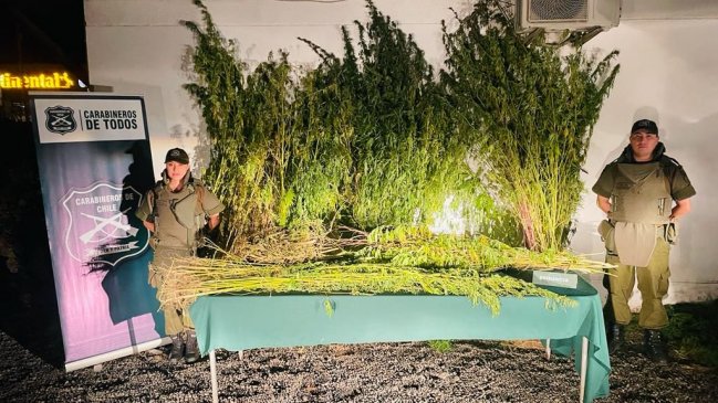 Tráfico de drogas: La Araucanía registra más de 100 detenidos en primeros tres meses del 2023