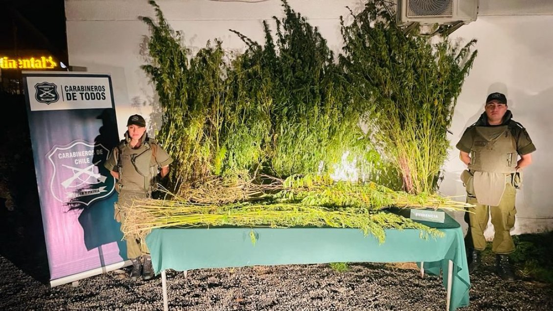 Tráfico de drogas: La Araucanía registra más de 100 detenidos en primeros tres meses del 2023