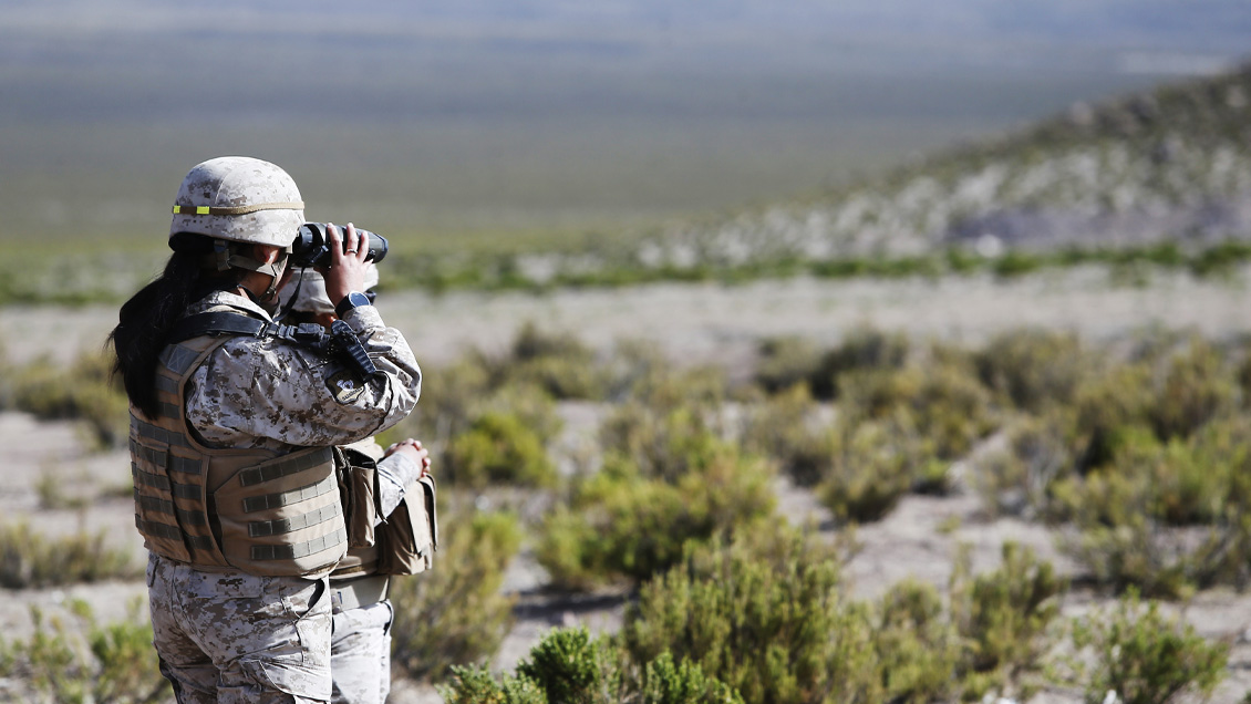 Chile avanzó la voluntad de Bolivia de realizar patrullajes conjuntos en la frontera norte