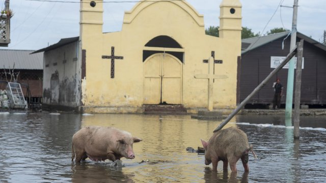 Fotos La Naturaleza Se Ensa A Con La Comunidad A Una Semana Del