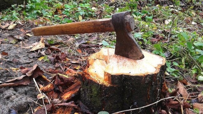 Adulta mayor fue asesinada con un hacha por su pareja