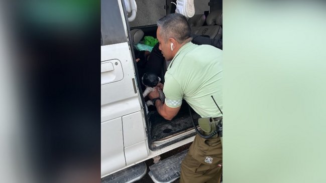 Iquique: Carabinero asistió parto en la vía pública