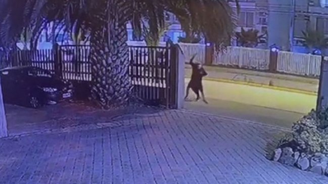 Declaran culpables a imputados por baleo a adolescente frente a su padre en La Serena