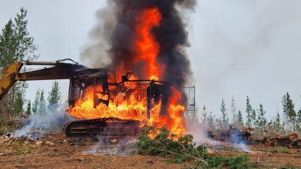  Ataque incendiario en faena forestal de Lumaco: Tres máquinas quemadas  
