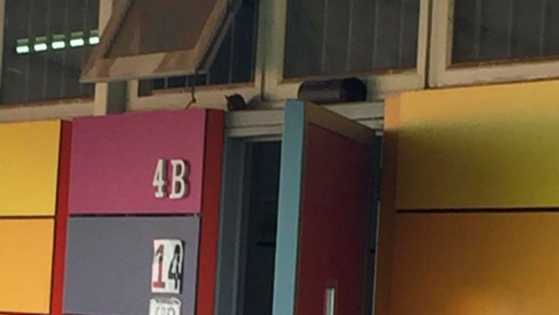 Liceo de Conchalí está en paro indefinido por plaga de ratones