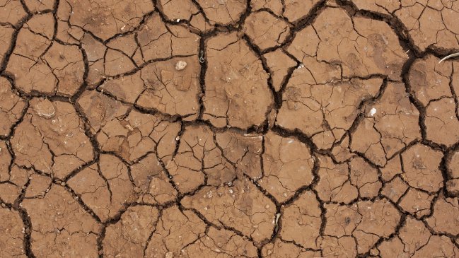 Experto advierte que El Niño provocará sequías más severas y temperaturas extremas