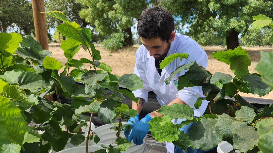 Fue inaugurado en Ñuble centro de investigación para disminuir uso de químicos en agricultura