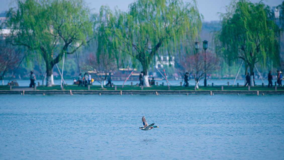 China lanza plan para protección de ecosistemas acuáticos