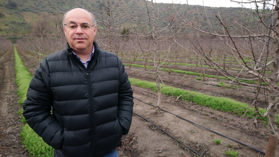 Fedefruta y el nuevo proceso constituyente: 