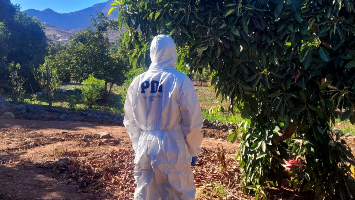 Adulto mayor mató a extraño que ingresó a su campo