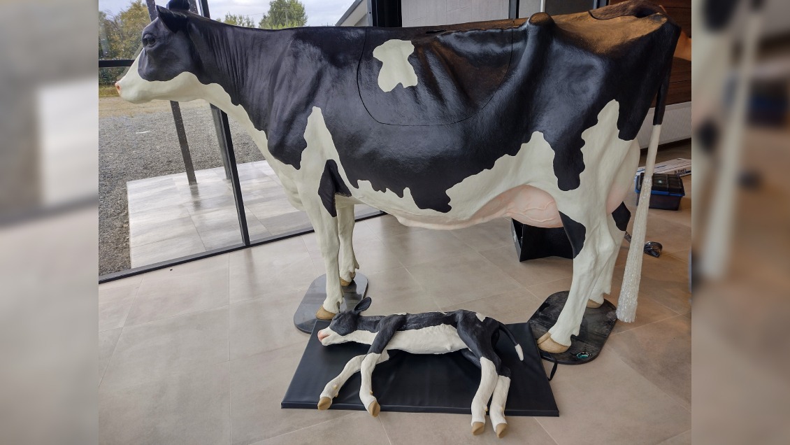 Estudiantes del sector lácteo de Osorno trabajarán con 